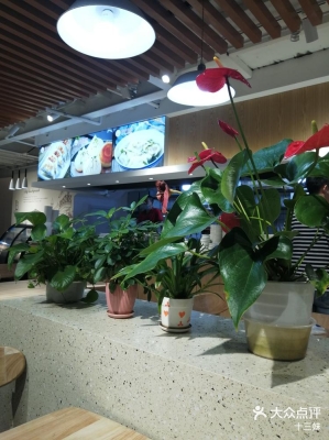 赤峰網紅生煎包店電話號碼-第1張圖片