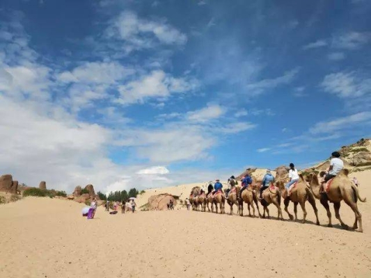 赤峰到滄州大客電話是多少-第1張圖片