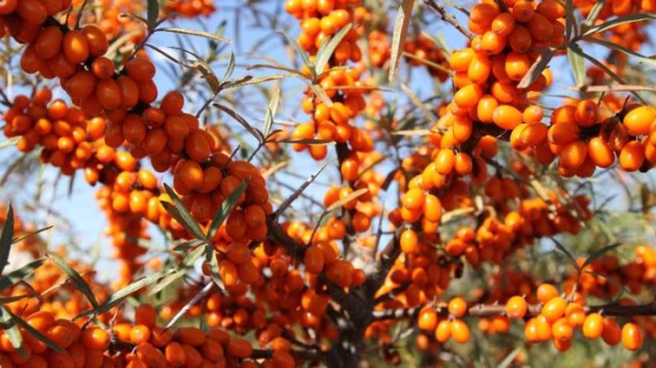 敖漢韓尚浴營業(yè)時間-第1張圖片