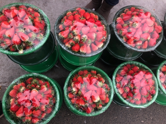 赤峰雨潤(rùn)水果商鋪電話號(hào)碼查詢-第1張圖片