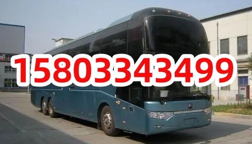 赤峰高速客運(yùn)電話是多少號(hào)-第1張圖片