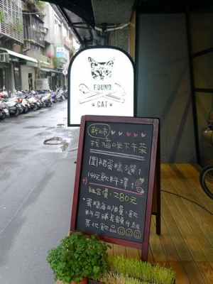 赤峰收養(yǎng)貓咪的地方電話(huà)號(hào)碼-第1張圖片