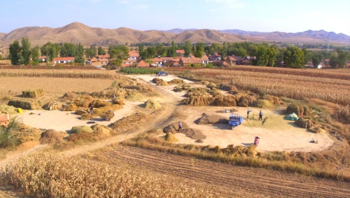 赤峰大廟飼料廠電話地址查詢-第1張圖片