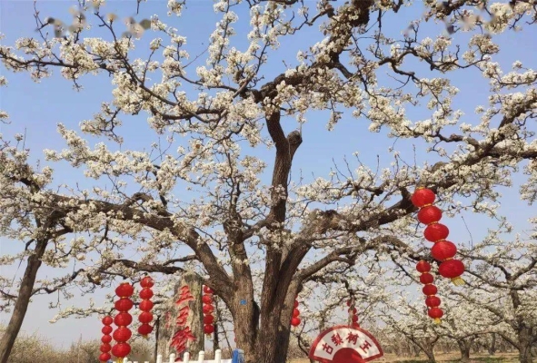 赤峰西八鄉(xiāng)拼車電話號碼-第1張圖片