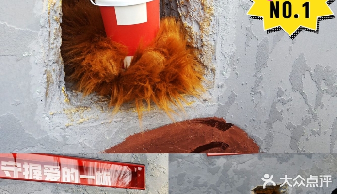 赤峰街頭咖啡館電話號(hào)碼-第1張圖片