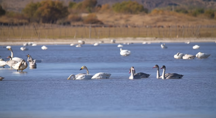 赤峰千巧制衣團(tuán)購(gòu)電話(huà)號(hào)碼-第1張圖片