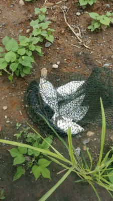 赤峰市新手釣魚地點(diǎn)電話號碼-第1張圖片