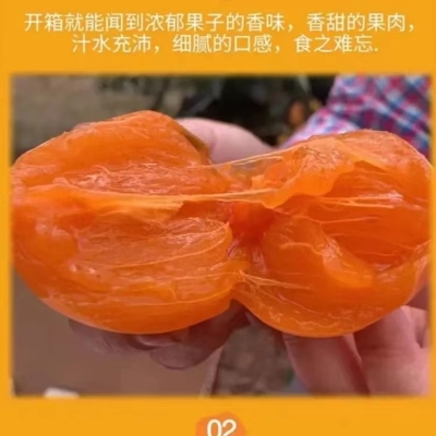 赤峰收柿子客商電話是多少號-第1張圖片