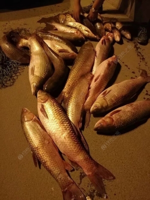 赤峰水泉釣魚場(chǎng)電話多少號(hào)-第1張圖片