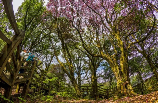 赤峰鴿子山露營(yíng)基地電話號(hào)碼-第1張圖片