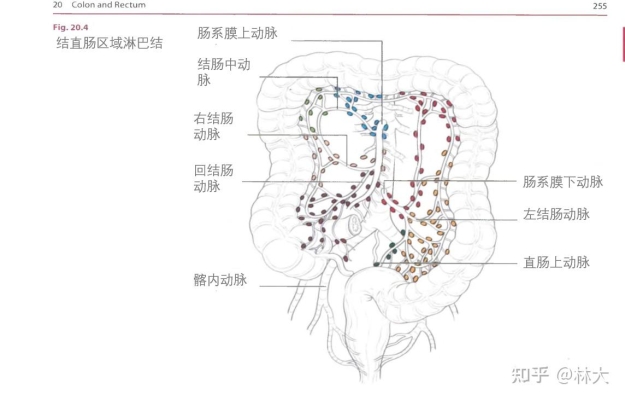 赤峰附屬醫(yī)院腸鏡科電話號(hào)碼-第1張圖片