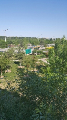 赤峰寧城大榛子基地電話號(hào)碼-第1張圖片