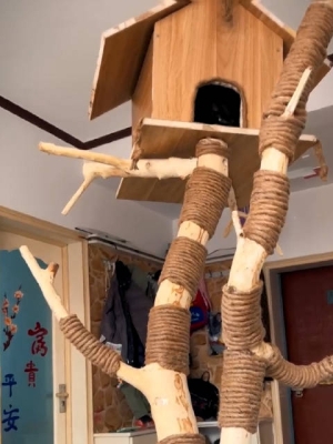 赤峰貓木屋書店電話號碼查詢-第1張圖片