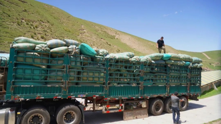 赤峰市羊毛收購(gòu)電話號(hào)碼-第1張圖片