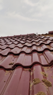 赤峰橋北獅子樓社區(qū)電話號(hào)碼-第1張圖片