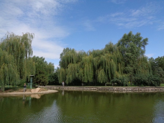 赤峰新城賣花電話多少號(hào)碼-第1張圖片