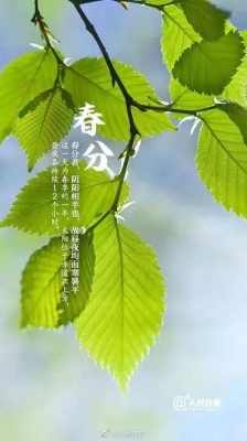 赤峰回收枯樹(shù)葉電話地址查詢-第1張圖片