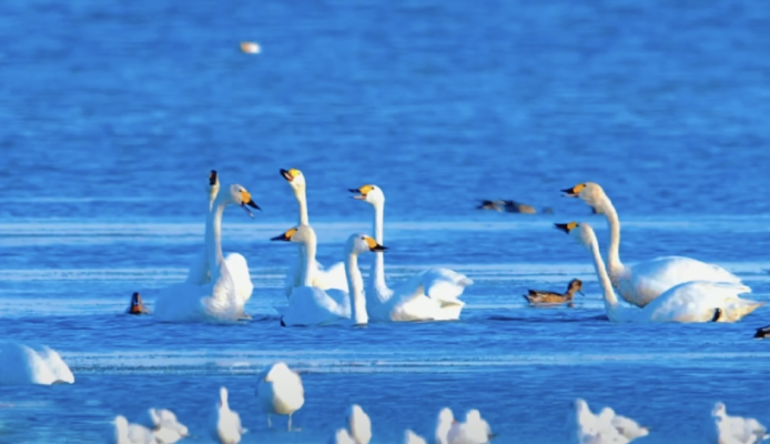 赤峰創(chuàng)典美發(fā)電話地址查詢(xún)-第1張圖片