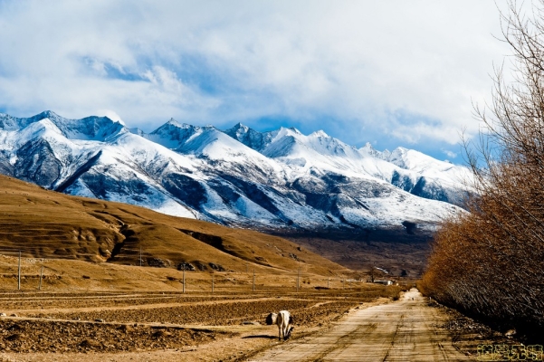 圍場去赤峰的拼車電話號碼-第1張圖片