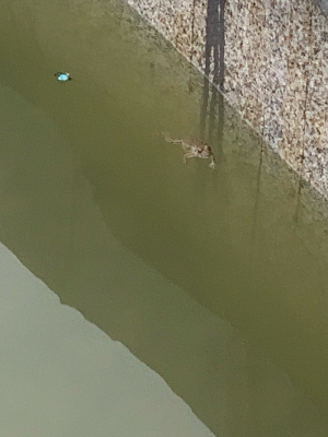 赤峰平莊維麥蛋糕電話(huà)號(hào)碼-第1張圖片