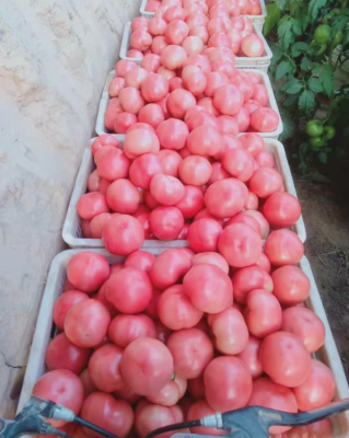 赤峰果勝水果批發(fā)電話號碼-第1張圖片