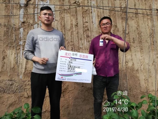 赤峰大棚垂釣園電話多少號(hào)-第1張圖片