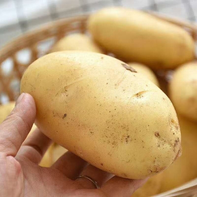 赤峰超市榴蓮糖店地址電話號碼-第1張圖片