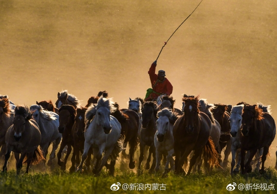 赤峰景區(qū)騎馬宰客電話號碼查詢-第1張圖片