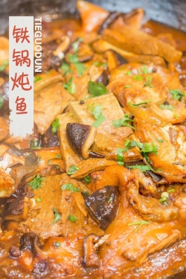 赤峰大魚批發(fā)電話是多少號-第1張圖片