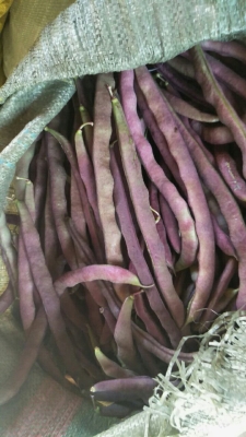 赤峰京香地下超市電話號碼-第1張圖片