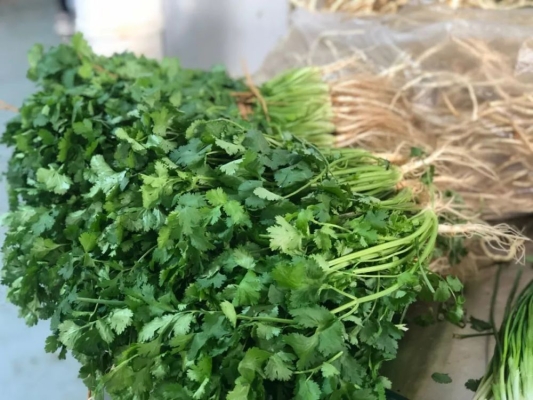 赤峰買菜便民點(diǎn)電話號(hào)碼查詢-第1張圖片