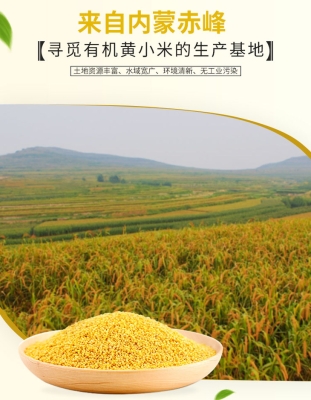 赤峰小米加工廠招聘電話號(hào)碼-第1張圖片