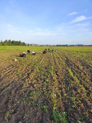 赤峰精品手機(jī)批發(fā)商電話號碼-第1張圖片
