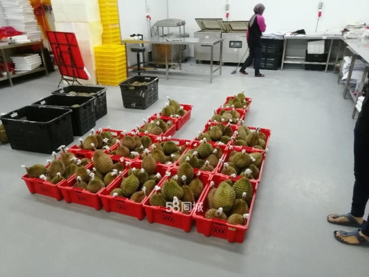 赤峰同城賣(mài)榴蓮肉的電話號(hào)碼-第1張圖片