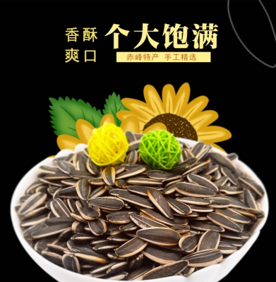 萬達赤峰瓜子店電話號碼-第1張圖片