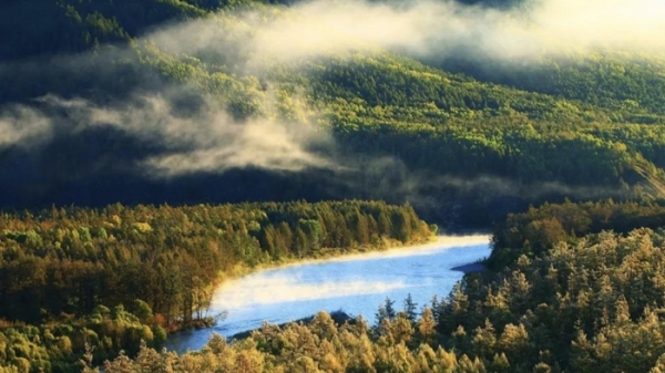 赤峰馬蘭供應(yīng)商電話地址查詢-第1張圖片