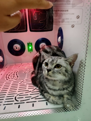 赤峰元吉寵物店電話號碼-第1張圖片