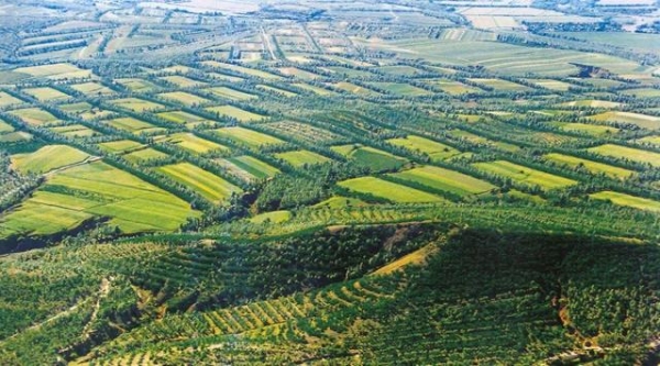 赤峰市太平地醫(yī)院電話號碼-第1張圖片