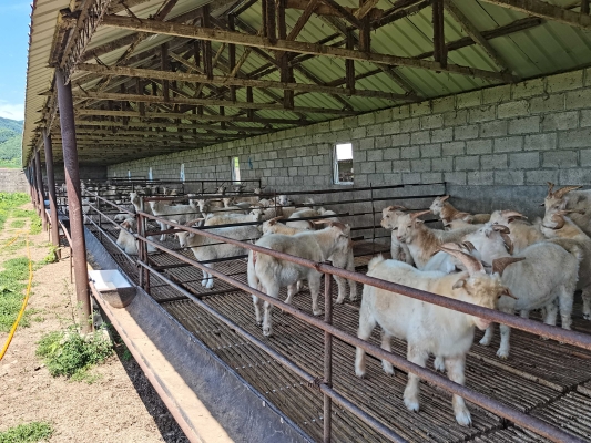 赤峰養(yǎng)殖場-第1張圖片