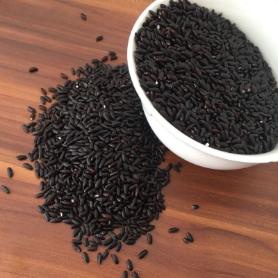 赤峰黑米廠家聯(lián)系電話號碼-第1張圖片