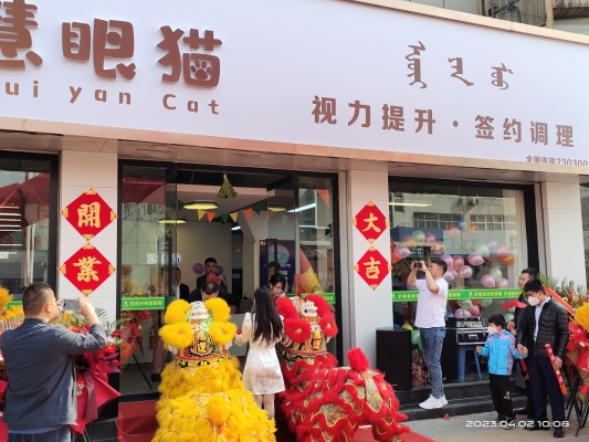 赤峰市送小貓電話號碼-第1張圖片