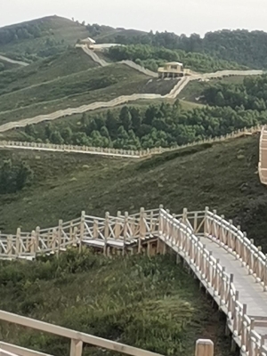 赤峰市園林局電話號碼-第1張圖片