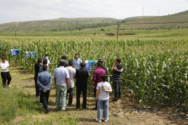赤峰旗縣社保局電話號碼-第1張圖片