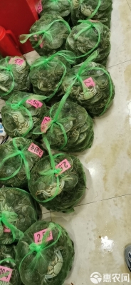 赤峰大閘蟹批發(fā)電話號碼查詢-第1張圖片