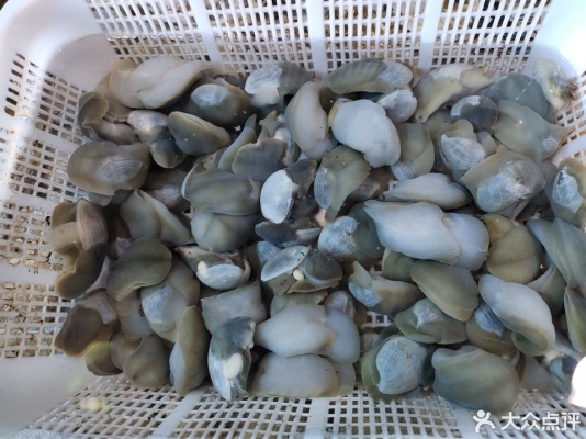 赤峰二龍燒烤地址電話號(hào)碼-第1張圖片