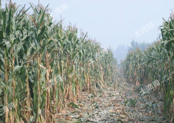赤峰種植土廠家電話地址查詢-第1張圖片