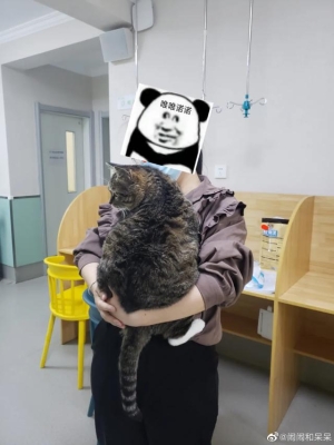 赤峰送水貓電話(huà)號(hào)碼查詢(xún)-第1張圖片