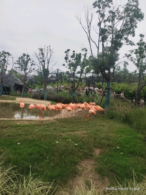 赤峰市海龍家庭牧場電話號碼-第1張圖片