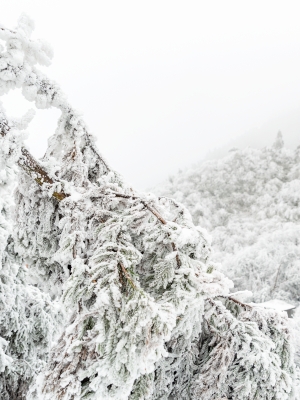 赤峰長勝農(nóng)行電話號碼多少-第1張圖片