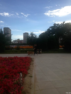 赤峰繁花體驗(yàn)館電話號碼查詢-第1張圖片